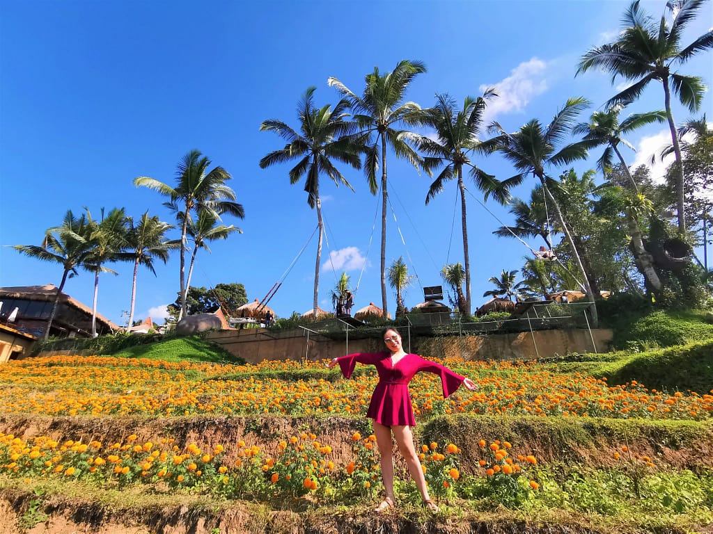 Beautiful flower field, Aloha Ubud Swing