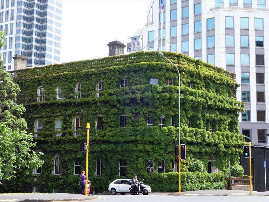 Green building at Auckland, New Zealand