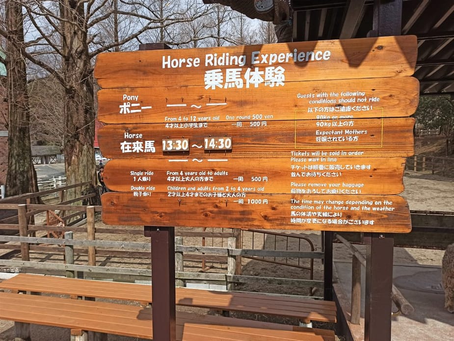 Horse riding experience sign