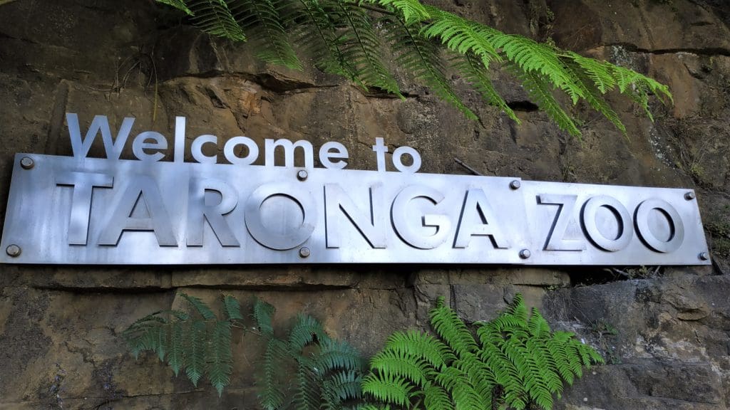 Welcome to Taronga Zoo