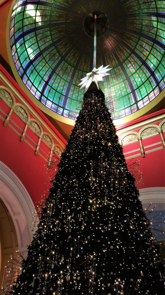 Christmas tree under the dome