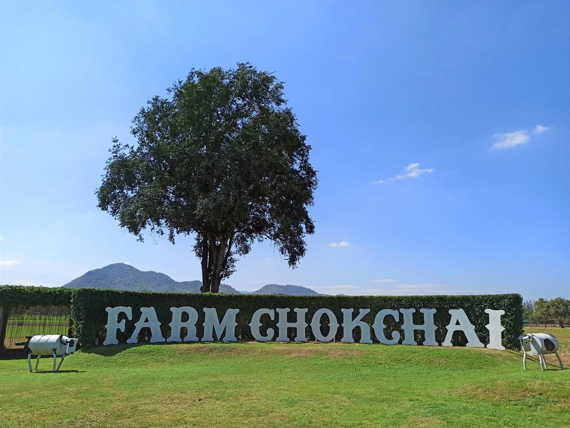 Farm Chokchai, Khao Yai