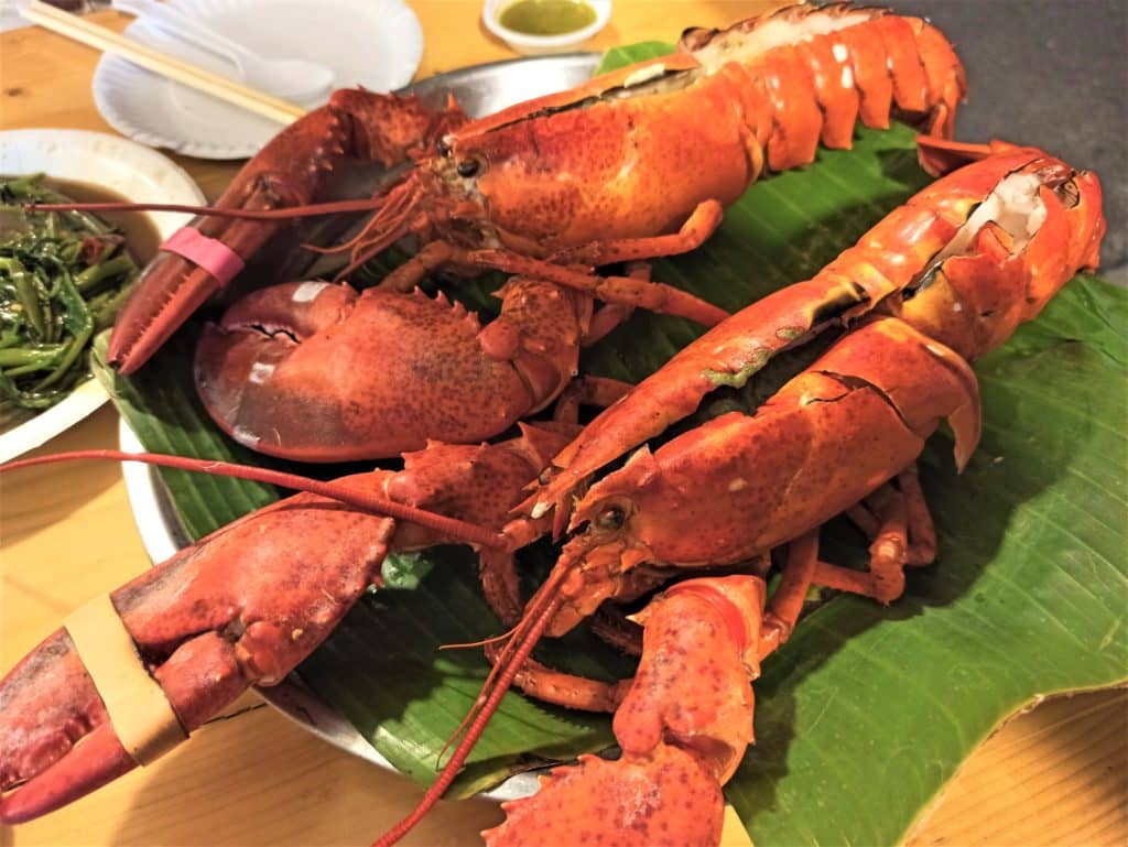2 big red lobsters