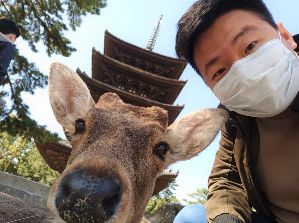 Selfie with Nara deer