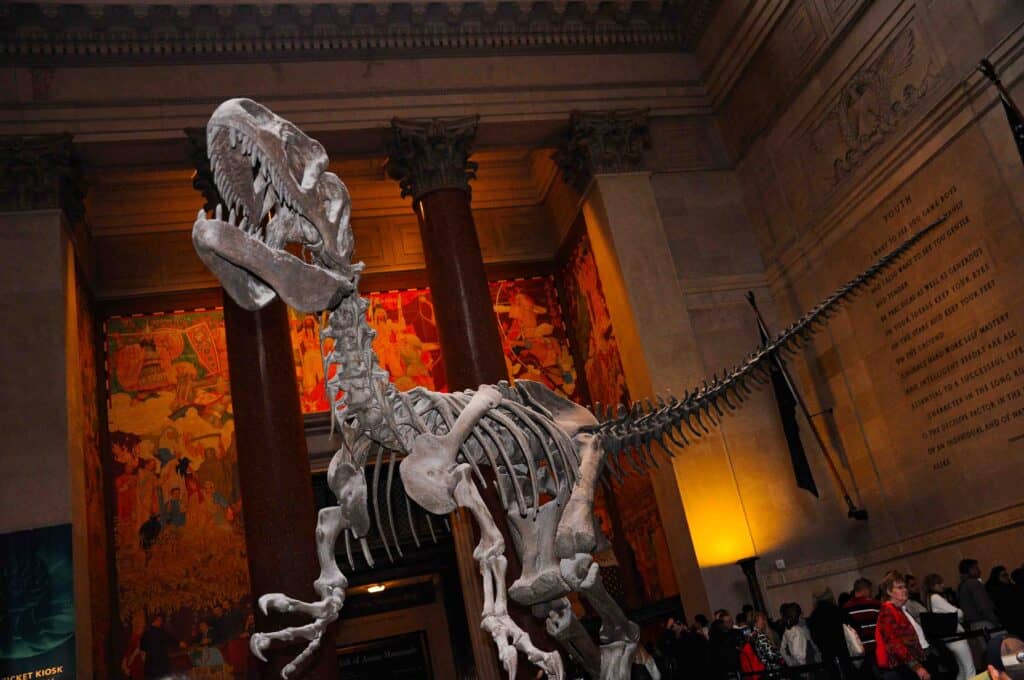 American Museum of Natural History, New York, USA