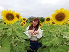 Lady posing with rows of sunflowers