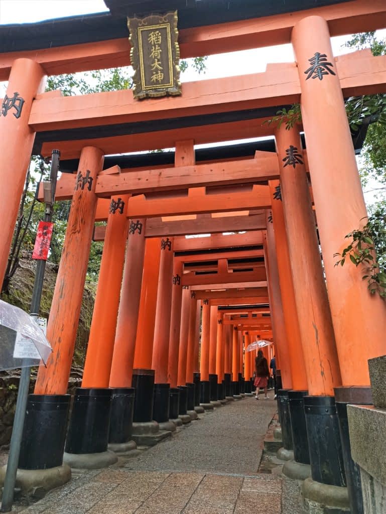 Torii of Fushimi Inari Taisha, Kyoto, Japan